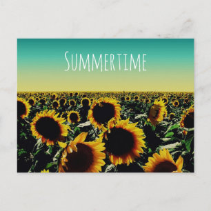 Solros Sommertid Vykort