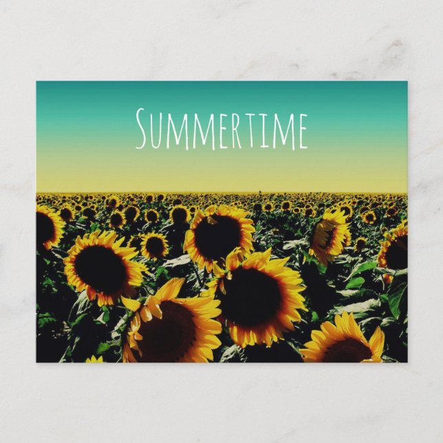 Solros Sommertid Vykort (Framsida)