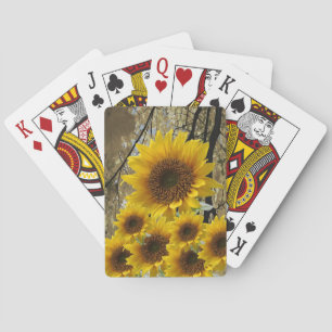 Solros spelkortlek kortlek