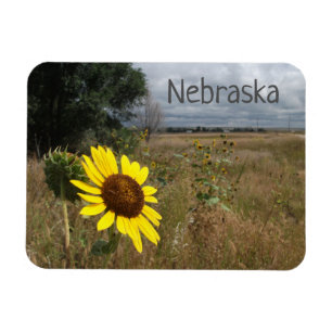 Solros, Stormy Himlar, Westerna Nebraska Ligcape Magnet