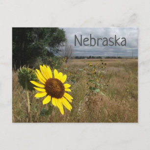 Solros, Stormy Himlar, Westerna Nebraska Ligcape Vykort