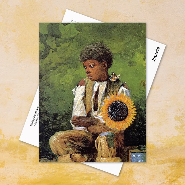 Solros till Teacher Winslow Homer Vykort (Skapare uppladdad)