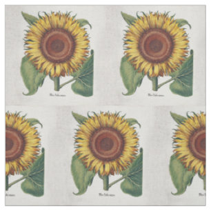 Solros Vintage Damask Blommig Konst Tyg