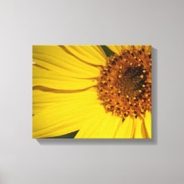 Solros Wrapped Canvas