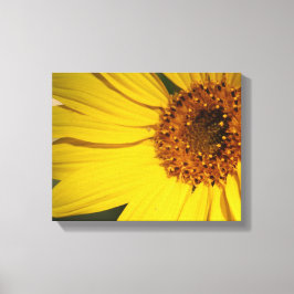 Solros Wrapped Canvas