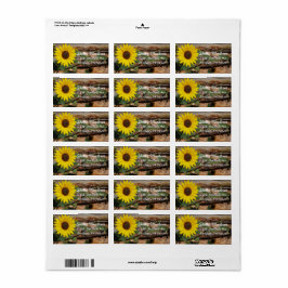 Solrosadressetikett Adressetikett