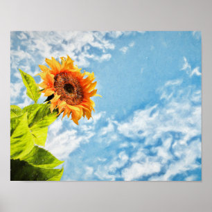 Solrosar Blå himmel och moln frigör konst Poster