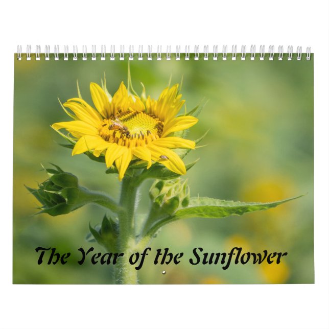 Solrosåret Kalender (Omslag)