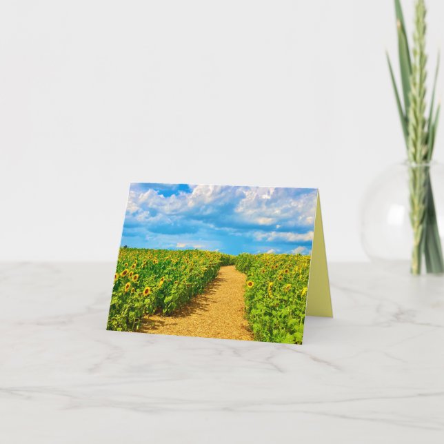 Solrosbanekort Kort (Framsida)