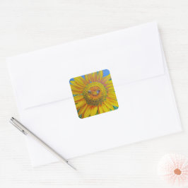 Solrosbin Stickers Fyrkantigt Klistermärke