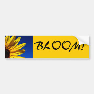 Solrosblombildekal Bildekal