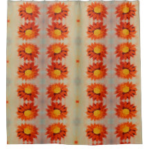 Solrosblomma av vibrant Orange