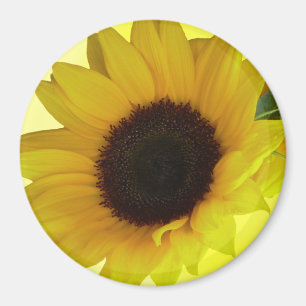 Solrosblomma - Fridge Magnet Cheerful Flower Gift