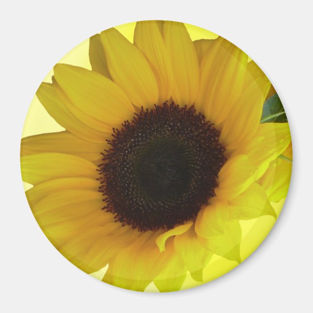 Solrosblomma - Fridge Magnet Cheerful Flower Gift (Framsidan)