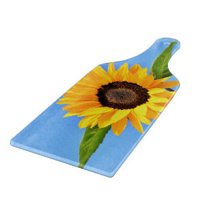 Solrosblomma mot Sol på Blå himmel - Sommar