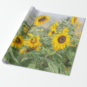 Solrosblommans Grönt Fält Gult Vackert decoupage Presentpapper