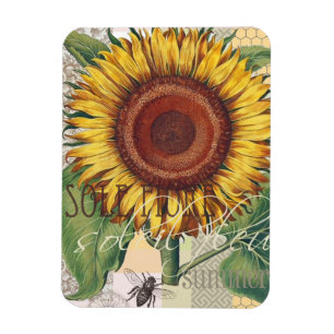 Solrosblommans Vintage Skål blomning Magnet