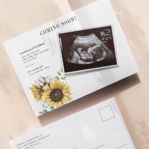SolrosBlommigt Eucalyptus Sonogram Gravid Meddelande Vykort