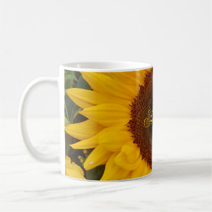 Solrosblommor blommor, blomfoto Mugg