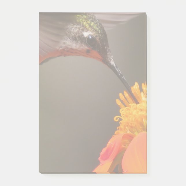 Solrosblommor, blommor, Blommigt Post-it Block (Framsida)