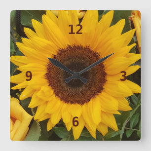 Solrosblommor Flower Floral Photography Clock Fyrkantig Klocka