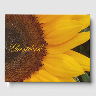 Solrosblommor Flower Floral Photography Guestbook Gästböcker