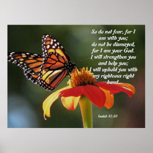 Solrosblommor Poster med monarch Butterfly