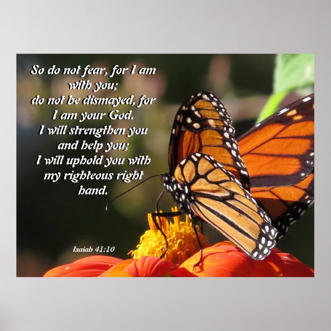 Solrosblommor Poster med monarch Butterfly (Framsidan)