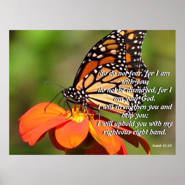 Solrosblommor Poster med monarch Butterfly (Framsidan)