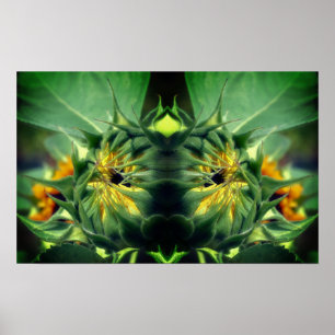 Solrosblommor uppfälld Spegel Abstrakt Poster