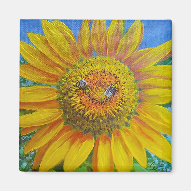 Solrosböna Magnet (Framsidan)