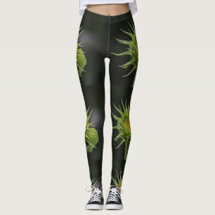 Solrosbud Leggings