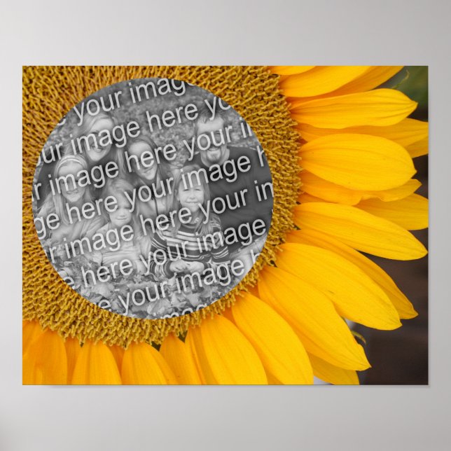 Solroscentrum Ram Lägg till ditt foto Poster (Framsidan)