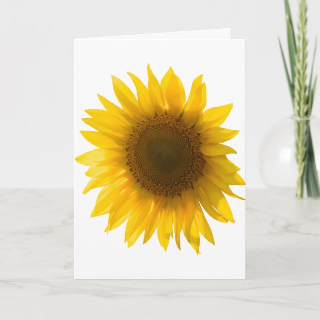 Solroscitationstecknet "blommor är lyckan ", kort (Framsida)