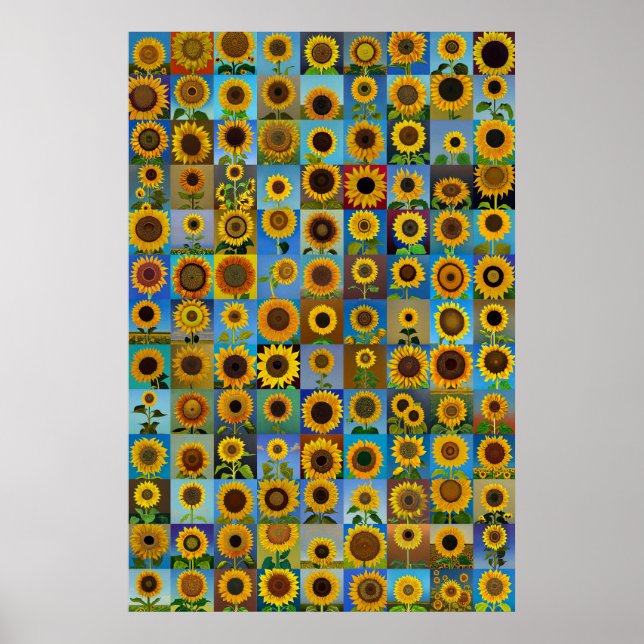 Solroscollage Poster (Framsidan)