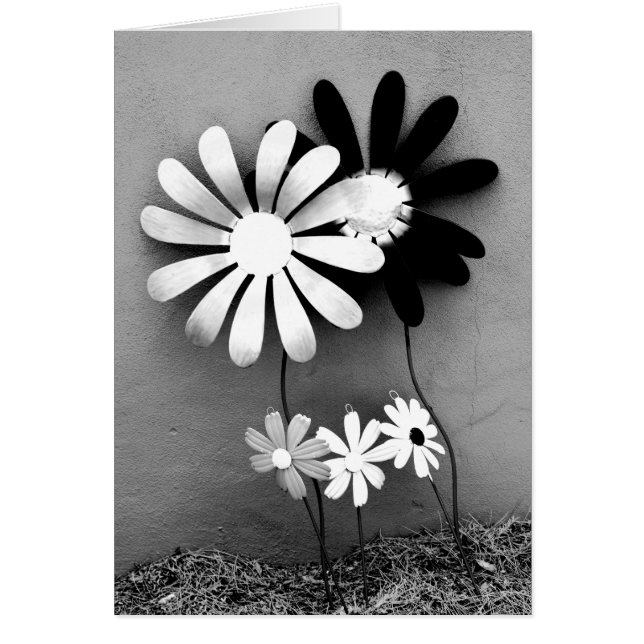 SolrosDekoration Hälsningskort (Framsidan)