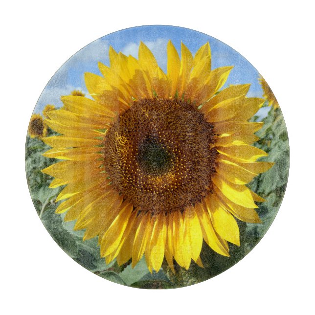 Solrosdekorativt glasblock (Framsidan)