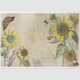 Solrosdrömmar - ta bort vävnadspapper