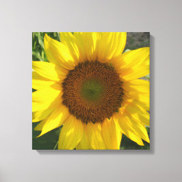 Solrosduktryck på sträckt canvas