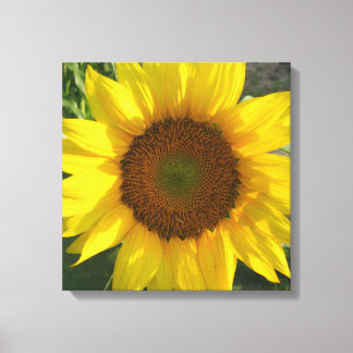 Solrosduktryck på sträckt canvas