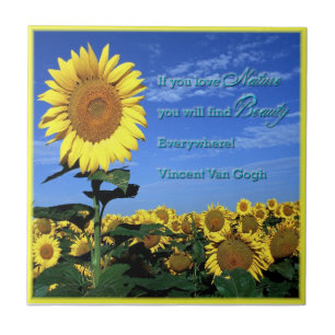 Solrosen belägger med tegel kakelplatta