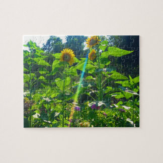 Solrosen driver pussel