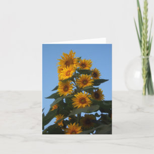 Solrosen samla i en klunga Notecard Kort