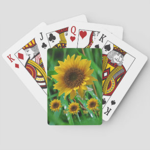 Solrosfack Casinokort