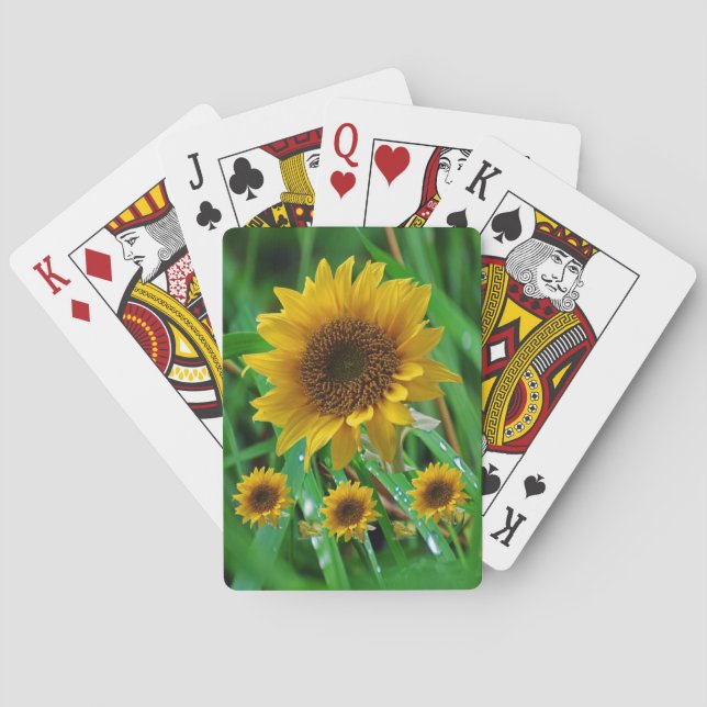 Solrosfack Casinokort (Baksidan)