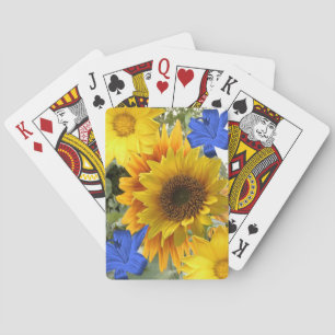 Solrosfack Casinokort