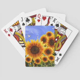 Solrosfack Spel Kort