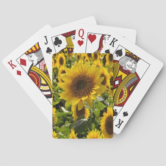 Solrosfack Spel Kort (Baksidan)