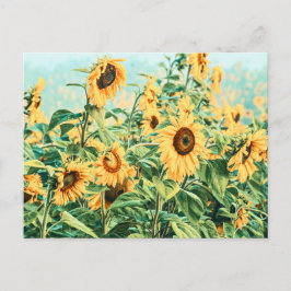 Solrosfält Gul Teal Blommig Konst Design Vykort
