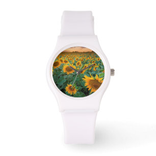 Solrosfält i Longmont, Colorado Armbandsur